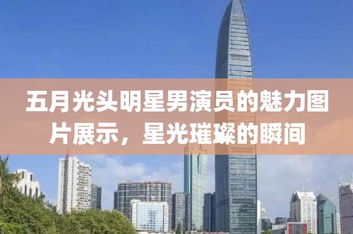 五月光头明星男演员的魅力图片展示，星光璀璨的瞬间