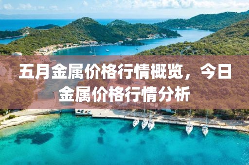 五月金属价格行情概览，今日金属价格行情分析