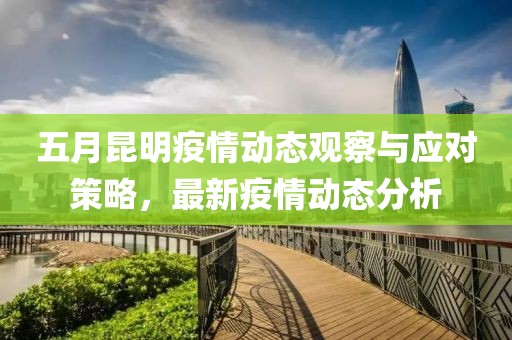 五月昆明疫情动态观察与应对策略，最新疫情动态分析