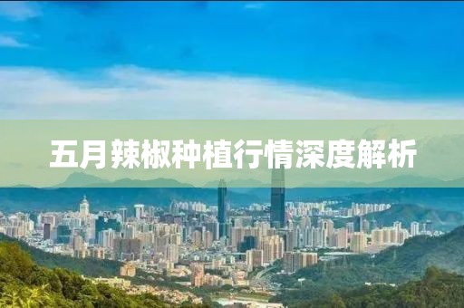 五月辣椒种植行情深度解析