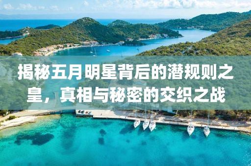 揭秘五月明星背后的潜规则之皇，真相与秘密的交织之战