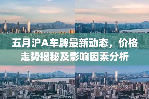 五月沪A车牌最新动态，价格走势揭秘及影响因素分析