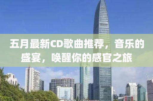 五月最新CD歌曲推荐，音乐的盛宴，唤醒你的感官之旅