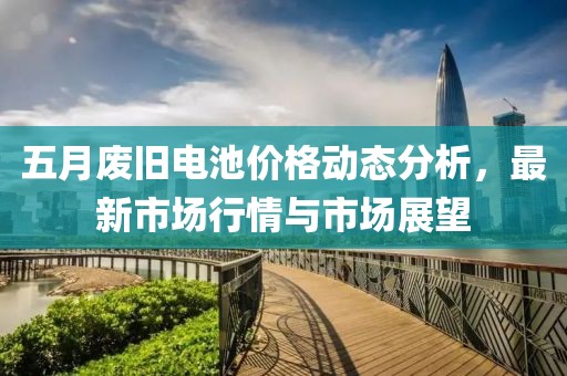 五月废旧电池价格动态分析，最新市场行情与市场展望
