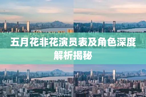 五月花非花演员表及角色深度解析揭秘
