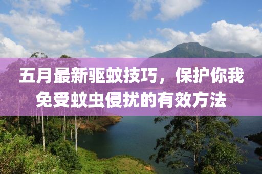 五月最新驱蚊技巧，保护你我免受蚊虫侵扰的有效方法