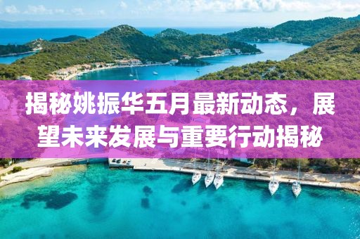 揭秘姚振华五月最新动态，展望未来发展与重要行动揭秘