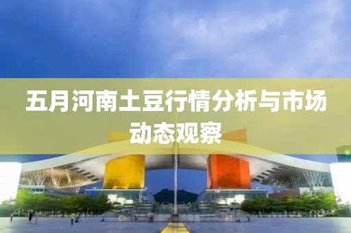 五月河南土豆行情分析与市场动态观察