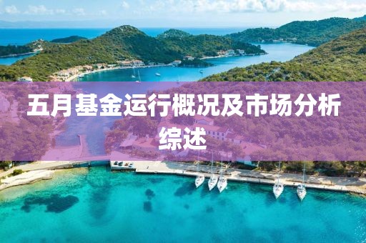 五月基金运行概况及市场分析综述
