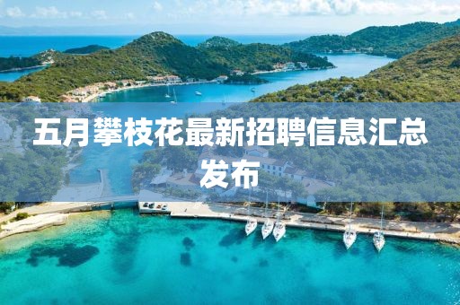 五月攀枝花最新招聘信息汇总发布