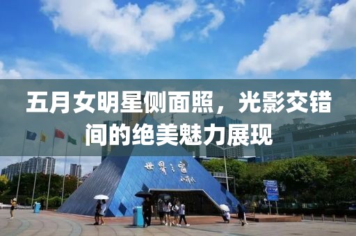 五月女明星侧面照，光影交错间的绝美魅力展现