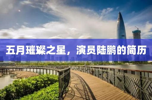 五月璀璨之星，演员陆鹏的简历