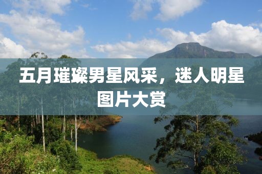 五月璀璨男星风采，迷人明星图片大赏