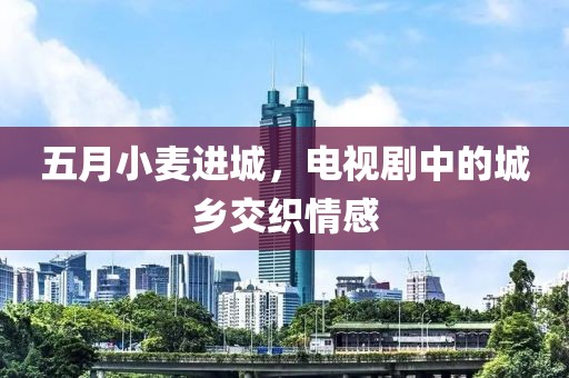 五月小麦进城，电视剧中的城乡交织情感