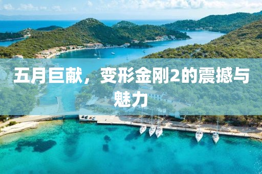 五月巨献，变形金刚2的震撼与魅力