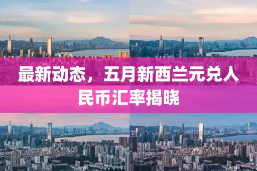 最新动态，五月新西兰元兑人民币汇率揭晓