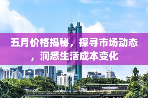 五月价格揭秘，探寻市场动态，洞悉生活成本变化