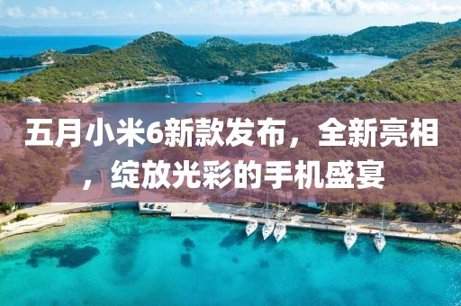 五月小米6新款发布，全新亮相，绽放光彩的手机盛宴