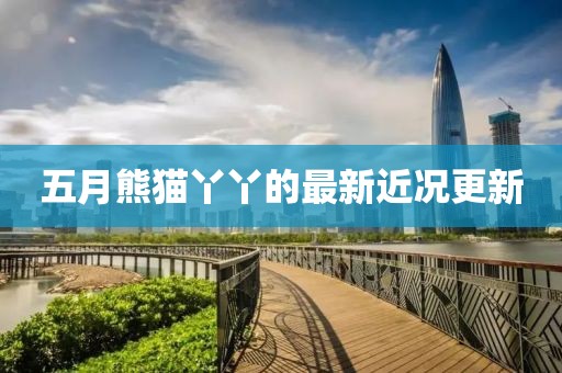 五月熊猫丫丫的最新近况更新