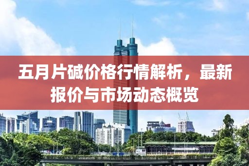 五月片碱价格行情解析，最新报价与市场动态概览