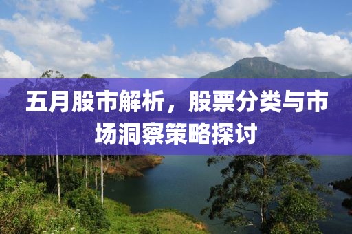 五月股市解析，股票分类与市场洞察策略探讨