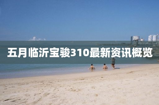 五月临沂宝骏310最新资讯概览