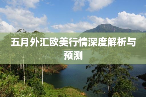 五月外汇欧美行情深度解析与预测
