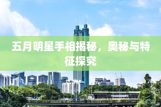 五月明星手相揭秘，奥秘与特征探究