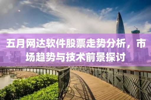 五月网达软件股票走势分析，市场趋势与技术前景探讨