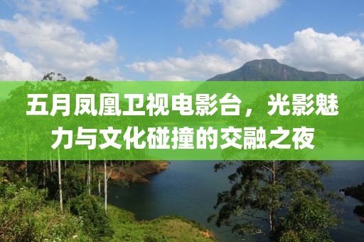 五月凤凰卫视电影台，光影魅力与文化碰撞的交融之夜