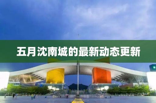 五月沈南城的最新动态更新