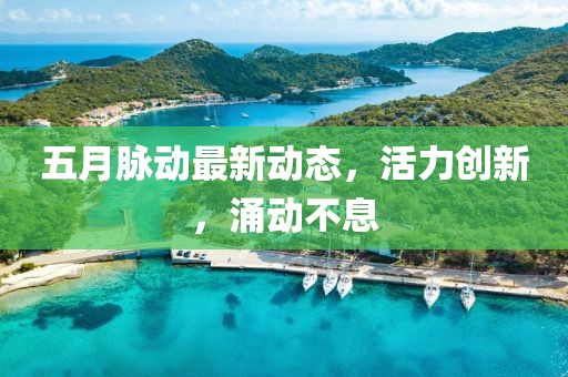 五月脉动最新动态，活力创新，涌动不息