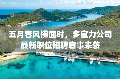五月春风拂面时，多宝力公司最新职位招聘启事来袭