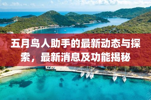五月鸟人助手的最新动态与探索，最新消息及功能揭秘