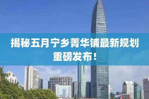 揭秘五月宁乡菁华铺最新规划重磅发布！