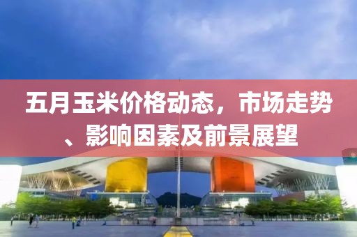 五月玉米价格动态，市场走势、影响因素及前景展望