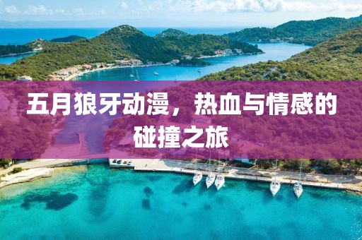 五月狼牙动漫，热血与情感的碰撞之旅