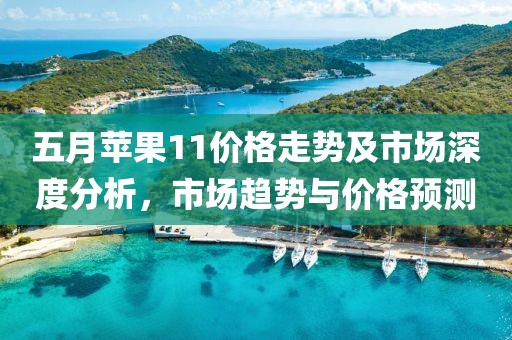 五月苹果11价格走势及市场深度分析，市场趋势与价格预测