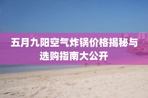 五月九阳空气炸锅价格揭秘与选购指南大公开