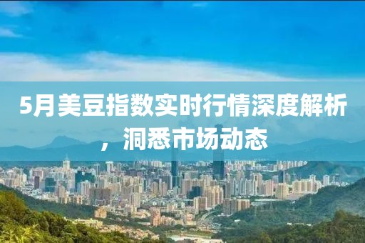 5月美豆指数实时行情深度解析，洞悉市场动态