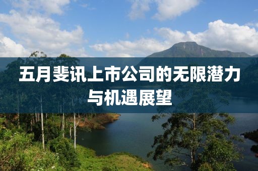 五月斐讯上市公司的无限潜力与机遇展望