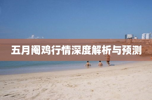 五月阉鸡行情深度解析与预测