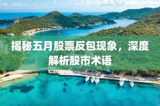 揭秘五月股票反包现象，深度解析股市术语