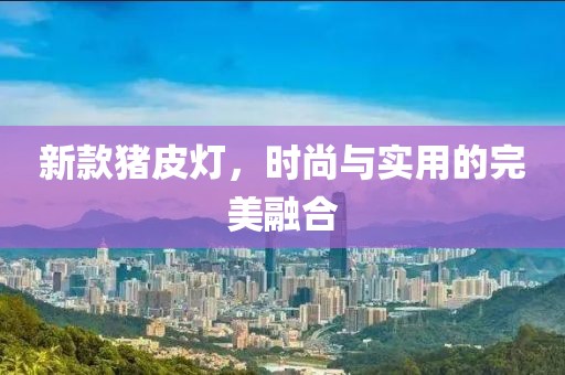 新款猪皮灯，时尚与实用的完美融合