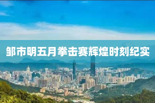 邹市明五月拳击赛辉煌时刻纪实