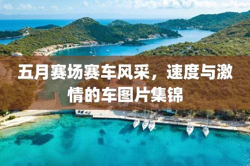 五月赛场赛车风采，速度与激情的车图片集锦