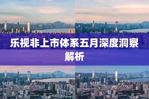 乐视非上市体系五月深度洞察解析