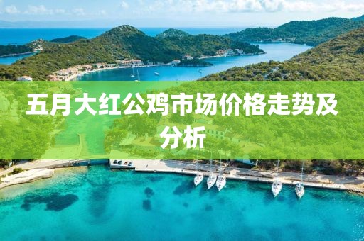 五月大红公鸡市场价格走势及分析