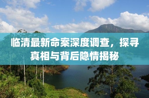 临清最新命案深度调查，探寻真相与背后隐情揭秘