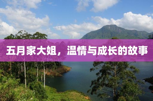 五月家大姐，温情与成长的故事